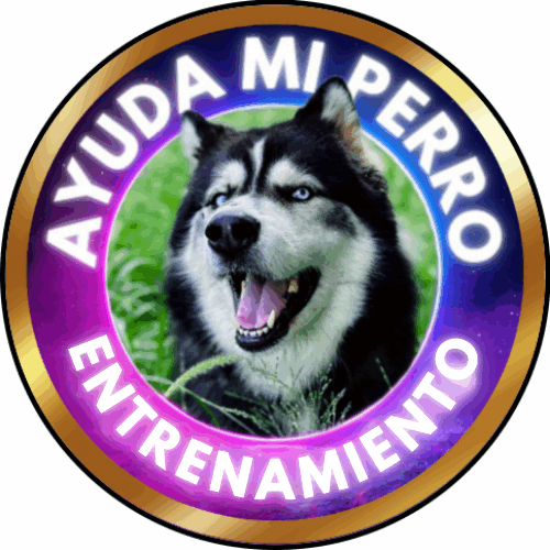 Ayuda Mi Perro entrenamiento